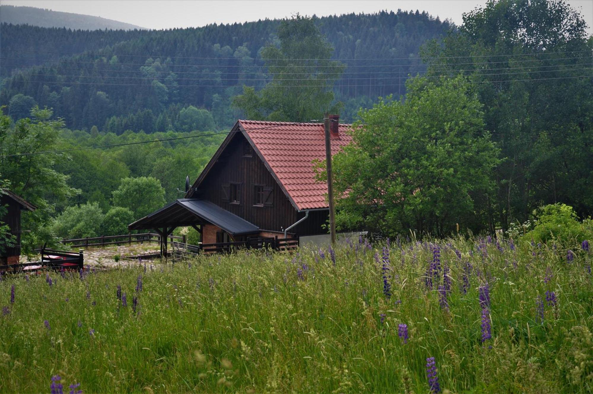 Chata Nad Dzika Orlica Z Jacuzzi Poniatow Exteriér fotografie