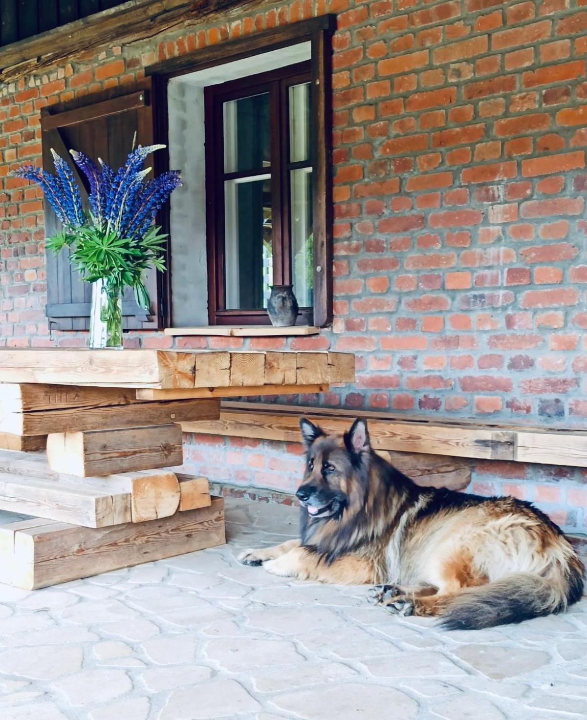 Chata Nad Dzika Orlica Z Jacuzzi Poniatow Exteriér fotografie