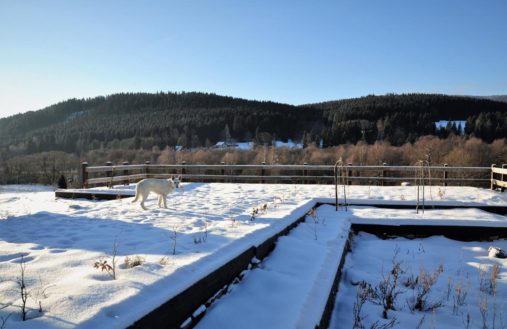Chata Nad Dzika Orlica Z Jacuzzi Poniatow Exteriér fotografie